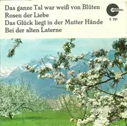 Orchester Jean Satori - Das Ganze Tal War Weiß von Blüten