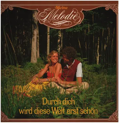 Orchester Rudi Bauer / Wiener Bohème a.o. - Meine Melodie - Durch dich wird diese Welt erst schön