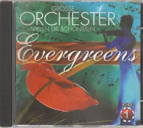 Orchester Willi Stech - Grosse Orchester spielen die schönsten Evergreens
