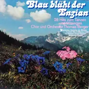 Orchester Thomas Berger - Blau Blüht Der Enzian - 28 Hits Zum Tanzen Und Mitsingen