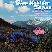 Orchester Thomas Berger - Blau Blüht Der Enzian - 28 Hits Zum Tanzen Und Mitsingen