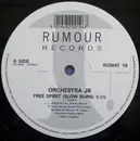 12inch Vinyl Single - Orchestra JB - Free Spirit (Slow Burn)
