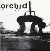 7'' - Orchid / Pig Destroyer - Orchid / Pig Destroyer - GRINDCORE