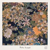 Orchid Mantis - Kulla Sunset