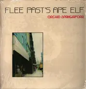 Orchid Spangiafora - Flee Past's Ape Elf