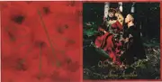CD - Ordo Equitum Solis - Animi Aegritudo