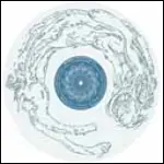 Oren Ambarchi - A Final Kiss On Poisoned Cheeks