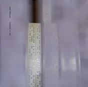 Oren Ambarchi - AUDIENCE OF ONE TOUCH