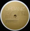 12'' - Organiz' - I Never Knew Love Like This Before