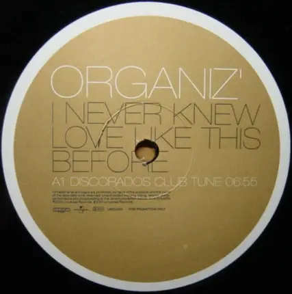 Organiz' - I Never Knew Love Like This Before
