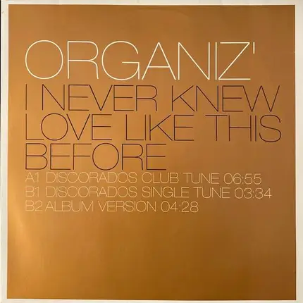 Organiz' - I Never Knew Love Like This Before