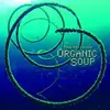 CD - Organic Soup - Myth Of Organic Soup