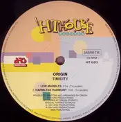 The Origin - Timidity