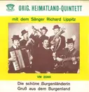 7inch Vinyl Single - Original Heimatland Quintett Mit Dem Sänger Richard Lippitz - Die Schöne Burgenländerin / Gruß Aus Dem Burgenland