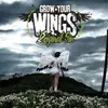 12'' - Original Sin - Grow Your Wings EP1