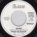 7inch Vinyl Single - Orion The Hunter - Joanne