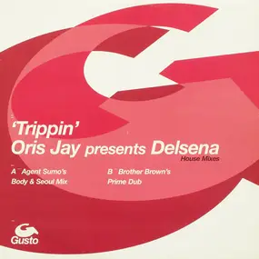 Oris Jay Presents Delsena - 'Trippin' (House Mixes)