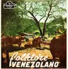 LP - Orquesta Típica Nacional - Folklore Venezolano