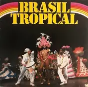 Orquestra Do Brasil Tropical