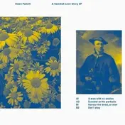 Owen Pallett - Swedish Love Story-10'