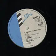 12inch Vinyl Single - Owen Paul - Pleased To Meet You