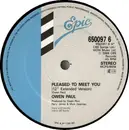 12inch Vinyl Single - Owen Paul - Pleased To Meet You