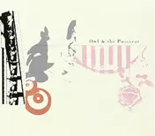 Owl - Owl & Pussycat