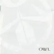 Owl - Owl
