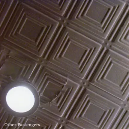 Other Passengers - Is It Nothing To You, All Those Who Pass By?