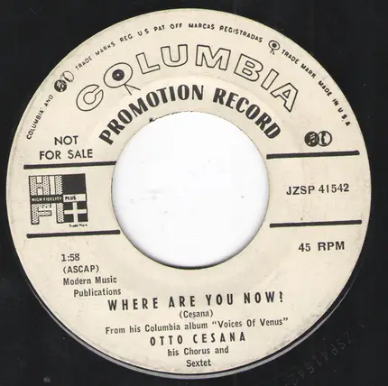 Otto Cesana His Chorus And Sextet - I Fear The Night / Where Are You Now!