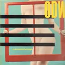 LP - Our Daughter's Wedding (ODW) - Moving Windows