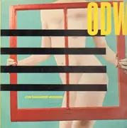 LP - Our Daughter's Wedding (ODW) - Moving Windows