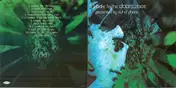 Out of Phase - A Tribute To 'The Doors' 2001