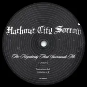12inch Vinyl Single - Ovatow - The Negativity That Surrounds Me
