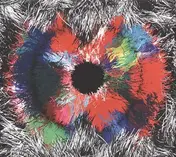 OY - No Problem Saloon