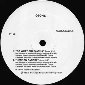 The Ozone - Do What You Wanna / Keep On Dancin/Let It Whip / Ready Or Not