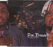 pm dawn - I Had No Right
