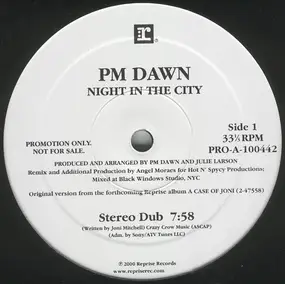 P.M. Dawn - Night In The City