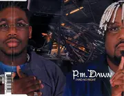 CD Single - P.M. Dawn - I Had No Right