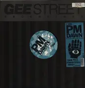 12inch Vinyl Single - P.M. Dawn - Ode To A Forgetful Mind
