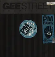 P.M. Dawn - Ode To A Forgetful Mind