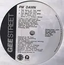 12inch Vinyl Single - P.M. Dawn - The Ways Of The Wind