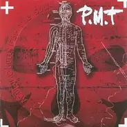 P.M.T. - Acupuncture For The Soul