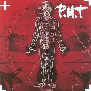 P.M.T. - Acupuncture For The Soul