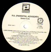 12'' - P.A. - My Life, Your Entertainment (Select Cuts)