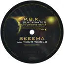 12inch Vinyl Single - P.B.K. / Skeema - The Illusion Of Space E.P. Plate 2 Of 2