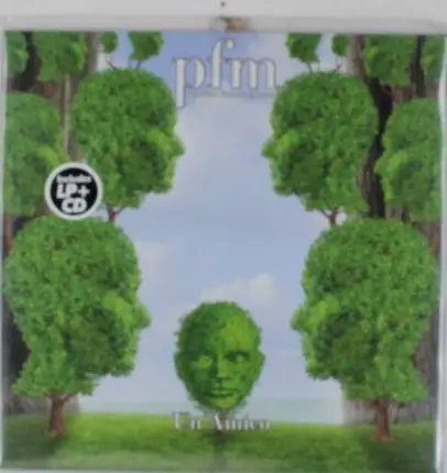 P.F.M. - UN Amico