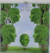 P.F.M. - UN Amico