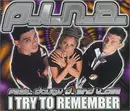 CD Single - P.I.N.a.Feat.Dougy d.and K. - I Try to Remember