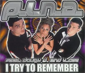 P.I.N.a.Feat.Dougy d.and K. - I Try to Remember